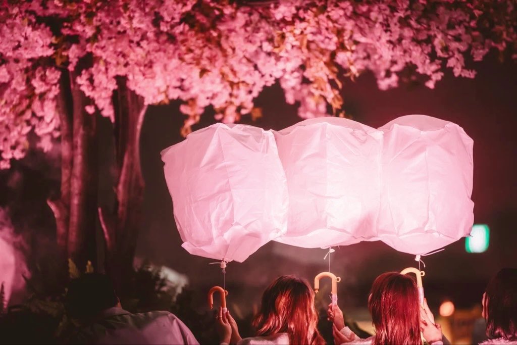 4月1日～7日まで新宿住友ビル 三角広場にて、桜色のスカイランタンが夜空いっぱいに広がる、ラプンツェルのような世界観を体験できる「花見灯夜2026」が開催されます✨