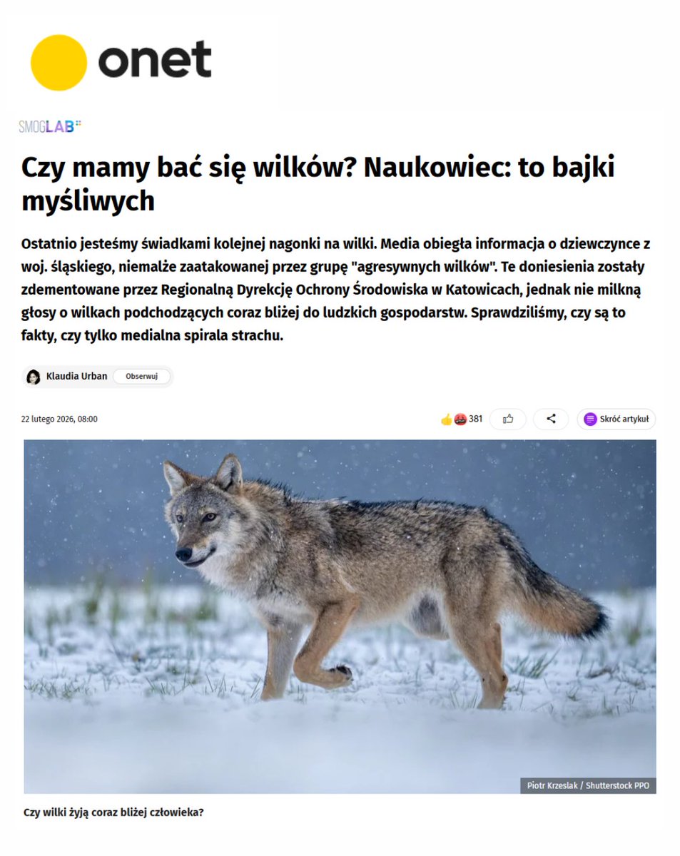 Pracownia Bystra tweet media