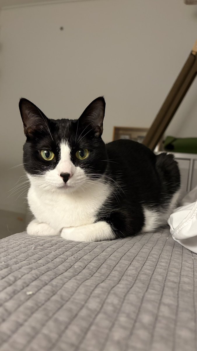 봉구네 김밥이 tweet media