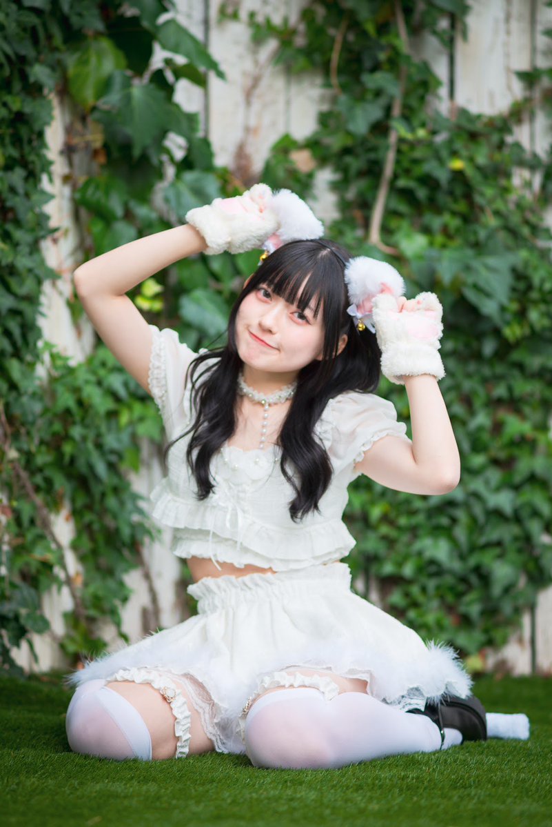 猫の日 #ねこの日 Part❶