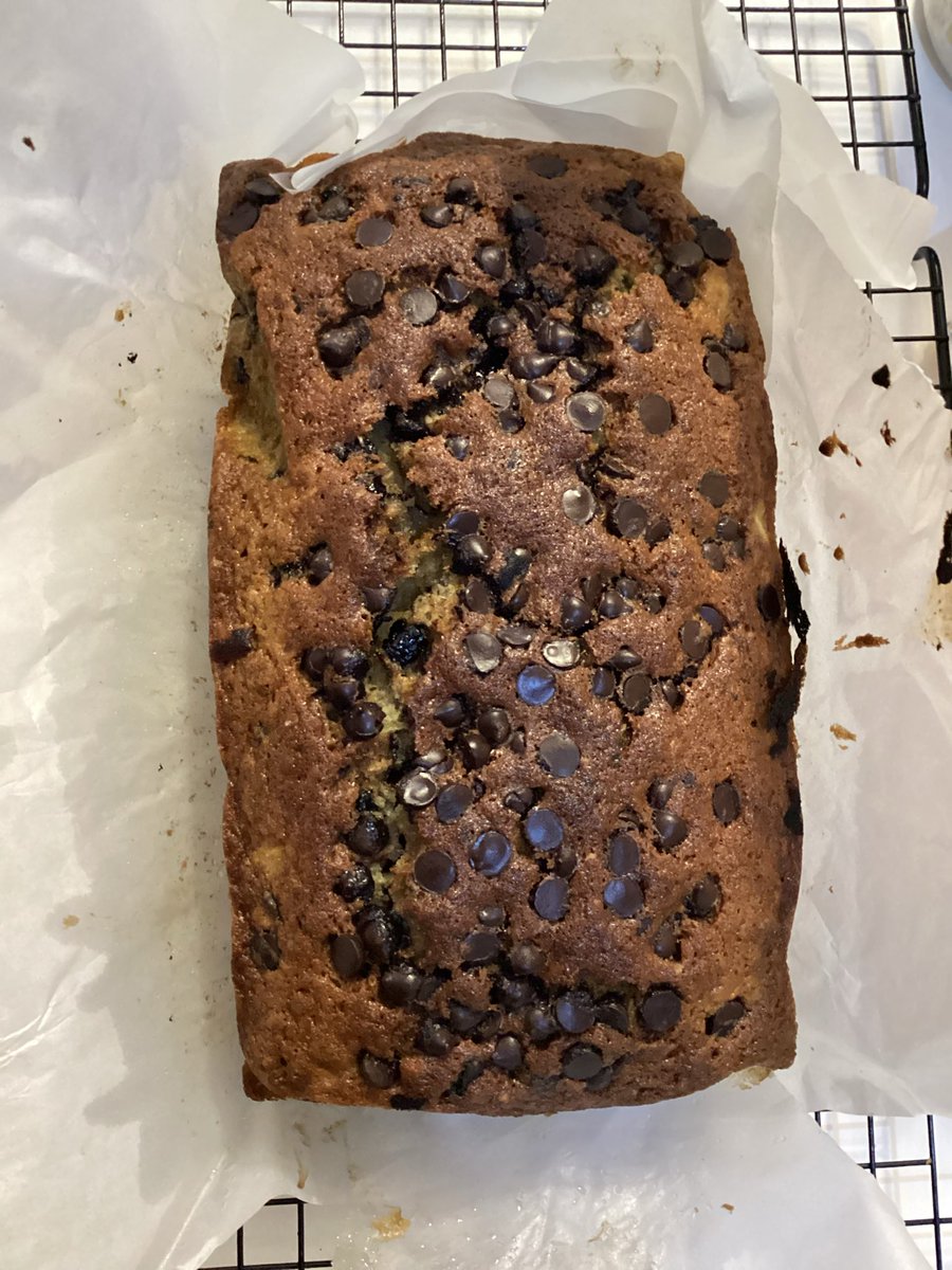 oyak’s🪗 🐾rest🐾 tweet media