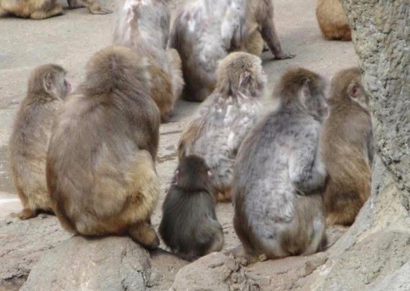 Y punch ⬇️ ❤️