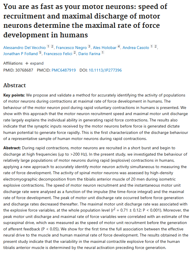 Jozo Grgic tweet media