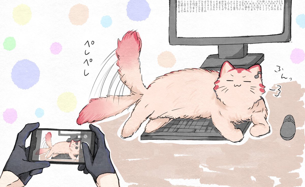 🌈心が綺麗な我🌈 (@NJ_kokoro_ware) / Posts / X