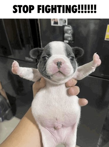 Leon Tai ✂️ tweet media