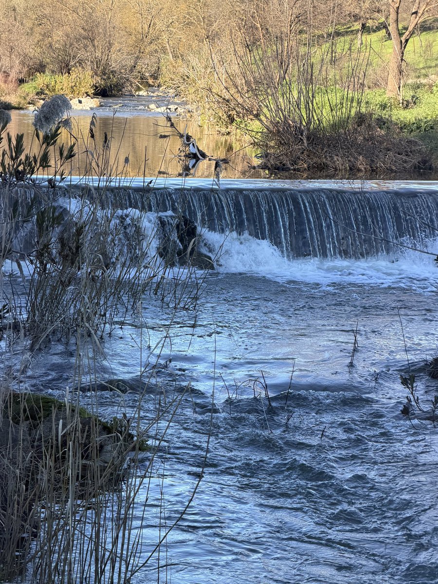 patricia hernandez tweet media