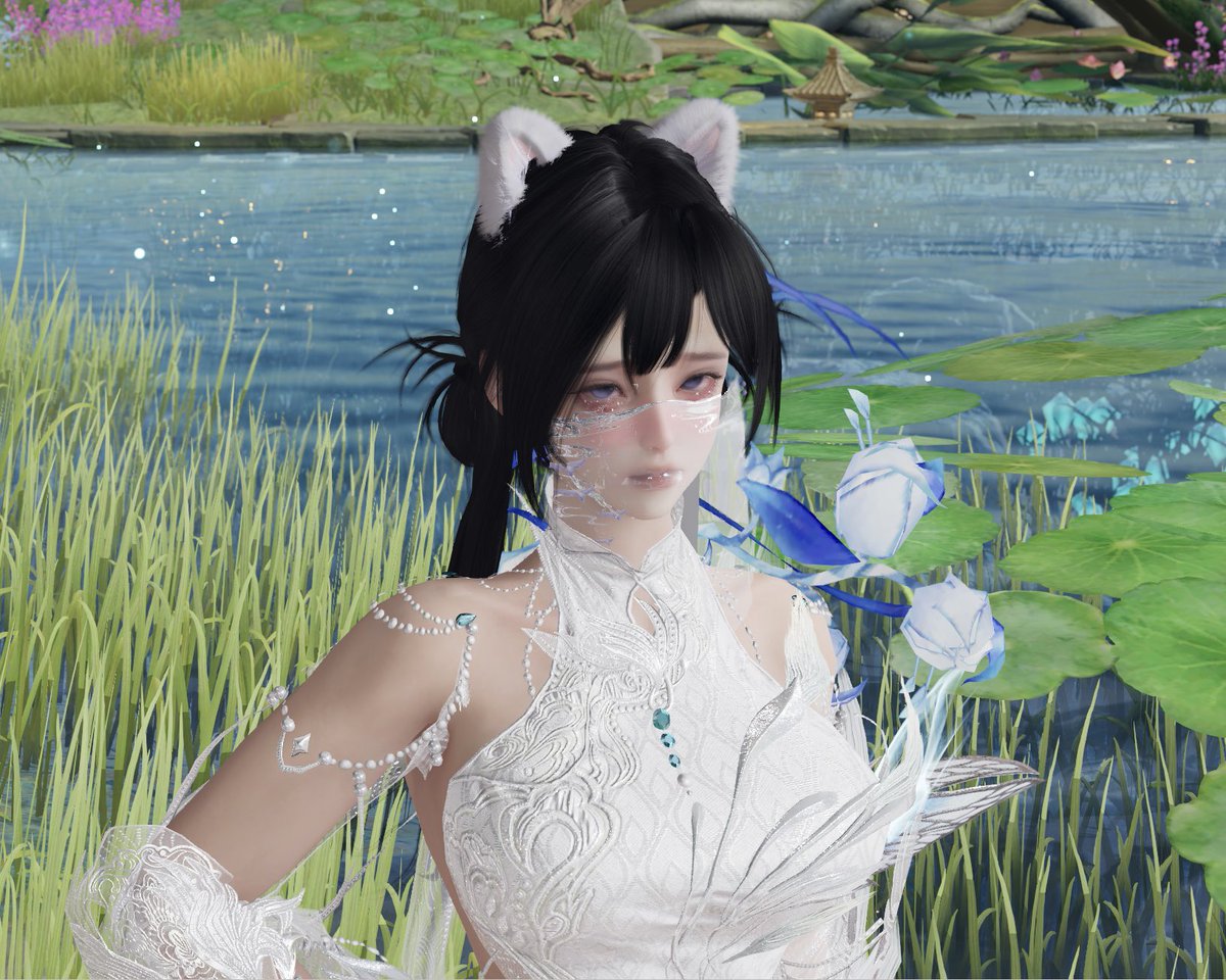 小猫神 tweet media