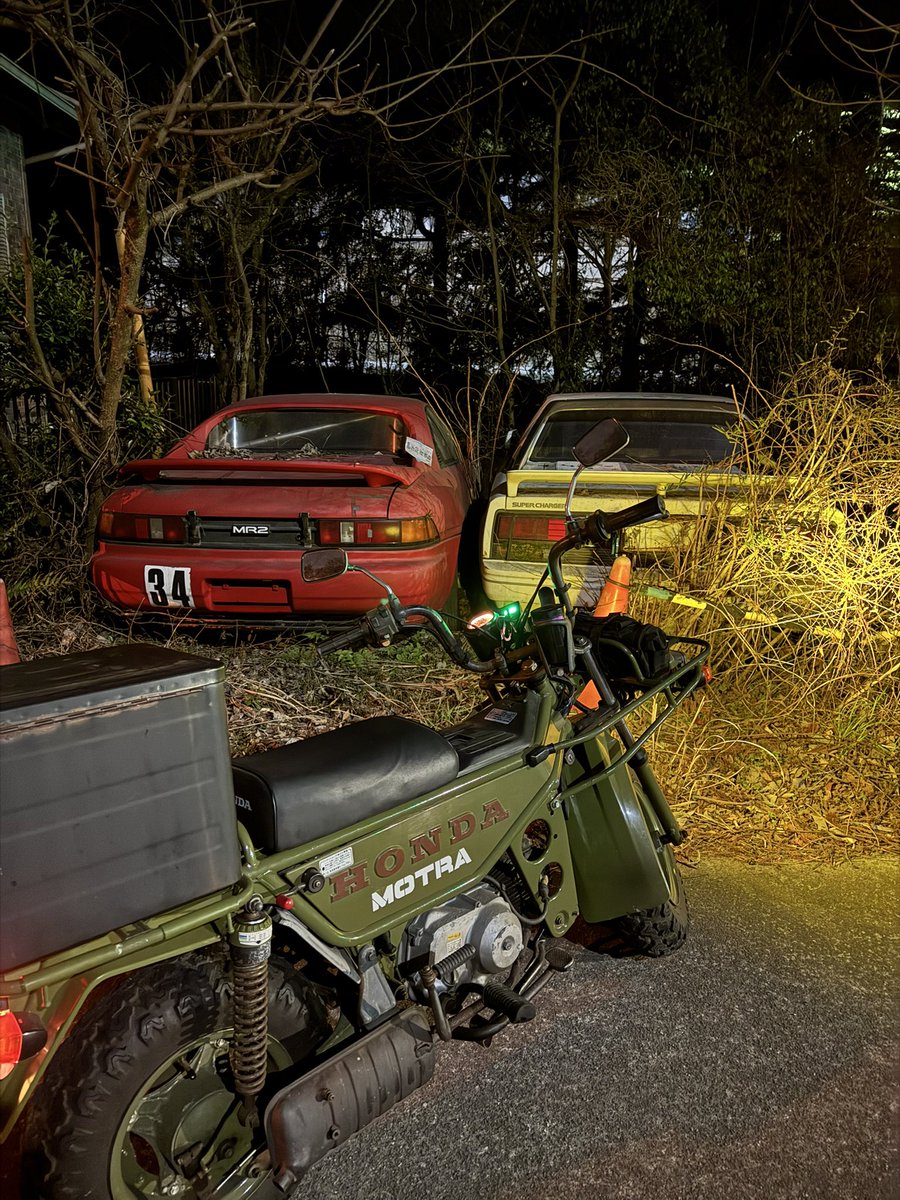 僕の1番お気に入りの草ヒロ❣️