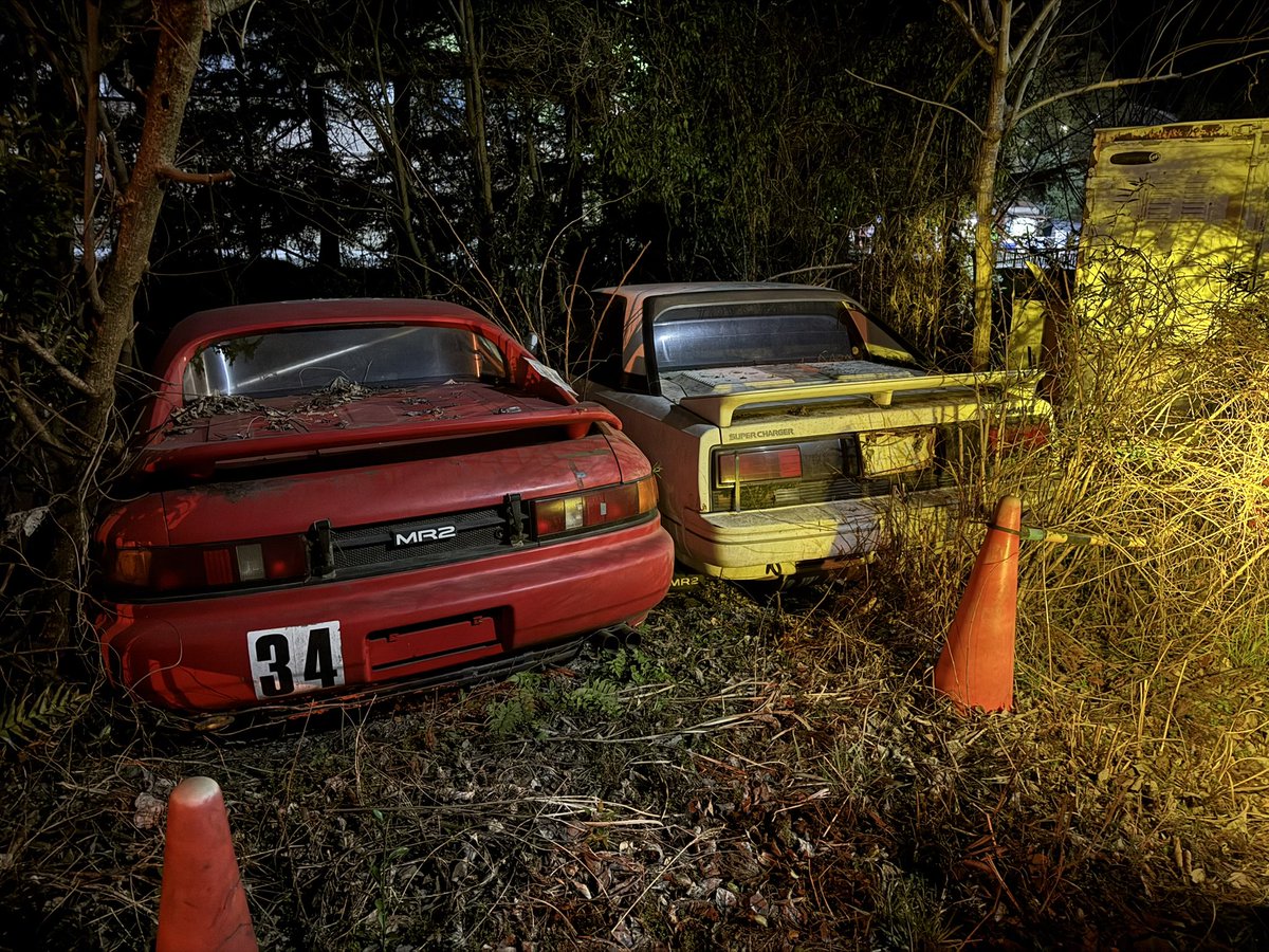 僕の1番お気に入りの草ヒロ❣️