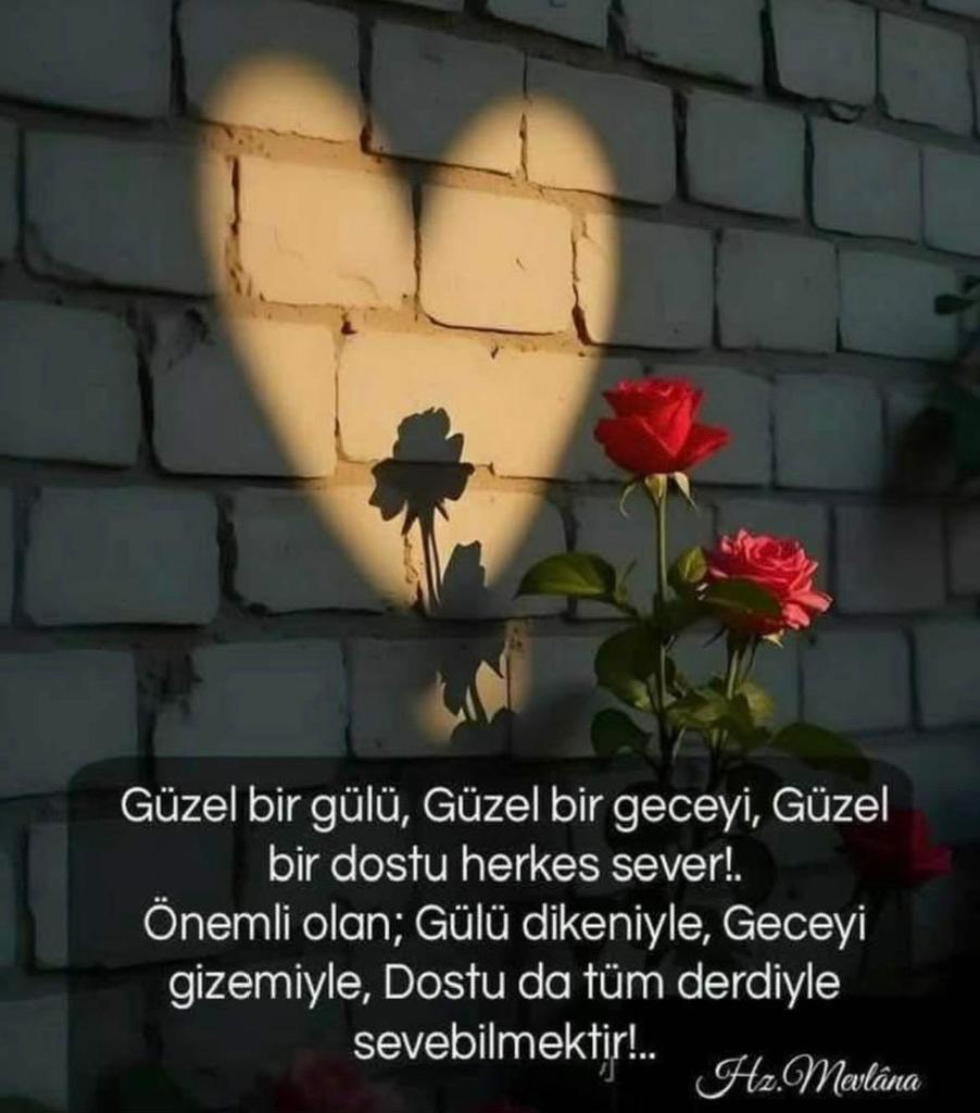 🫶👏🫶👏🫶👏🫶👏🫶👏🫶👏