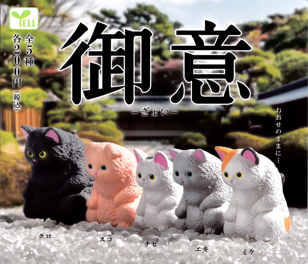 🌈 2月22日(日)新入荷情報🌈 ▫️御意 -ぎょい- #イオンモール浜松市野