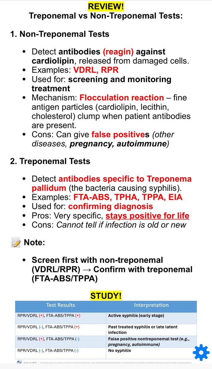 Anki ng RMT tweet media