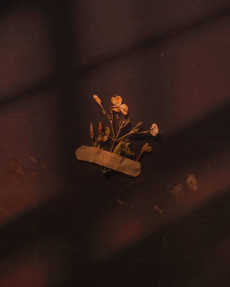 fadi_7694's tweet image. جو تھے جان سے پیارے اگرچہ وہی باعثِ اذیت ٹھہرے ۔💛