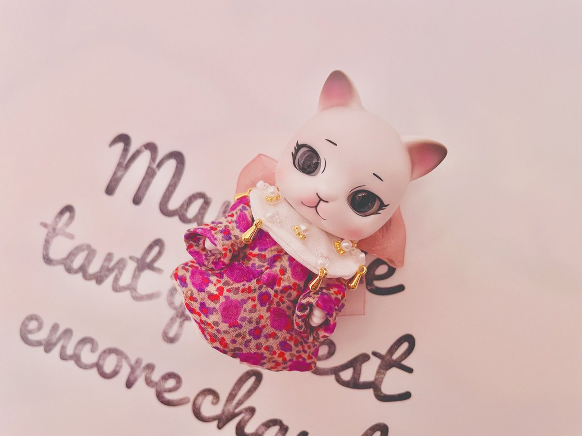 そうか猫の日だしリアルもあげておこうね…🐈🎀💎💓✨