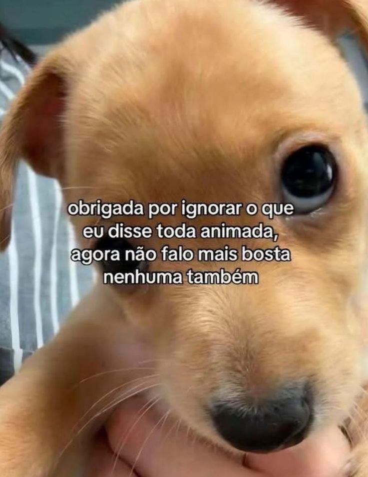 iti malias tweet media