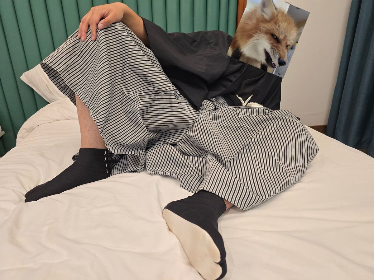 想成为哈基虎 tweet media