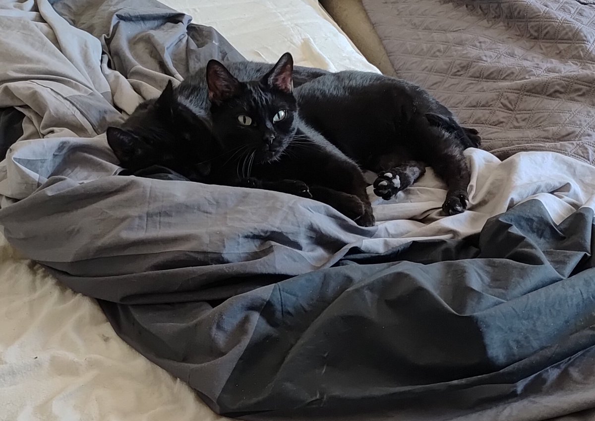 Nähä, jag får inte bädda sängen alltså