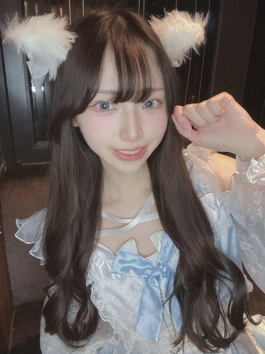 Post by るいんちゃん on X: ねこの日🐱