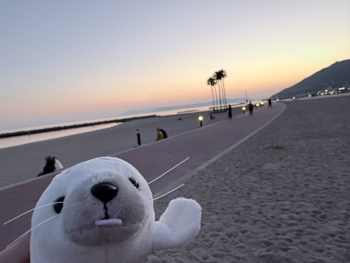 須磨シー楽しかったですーソフトクリームも美味しかった！