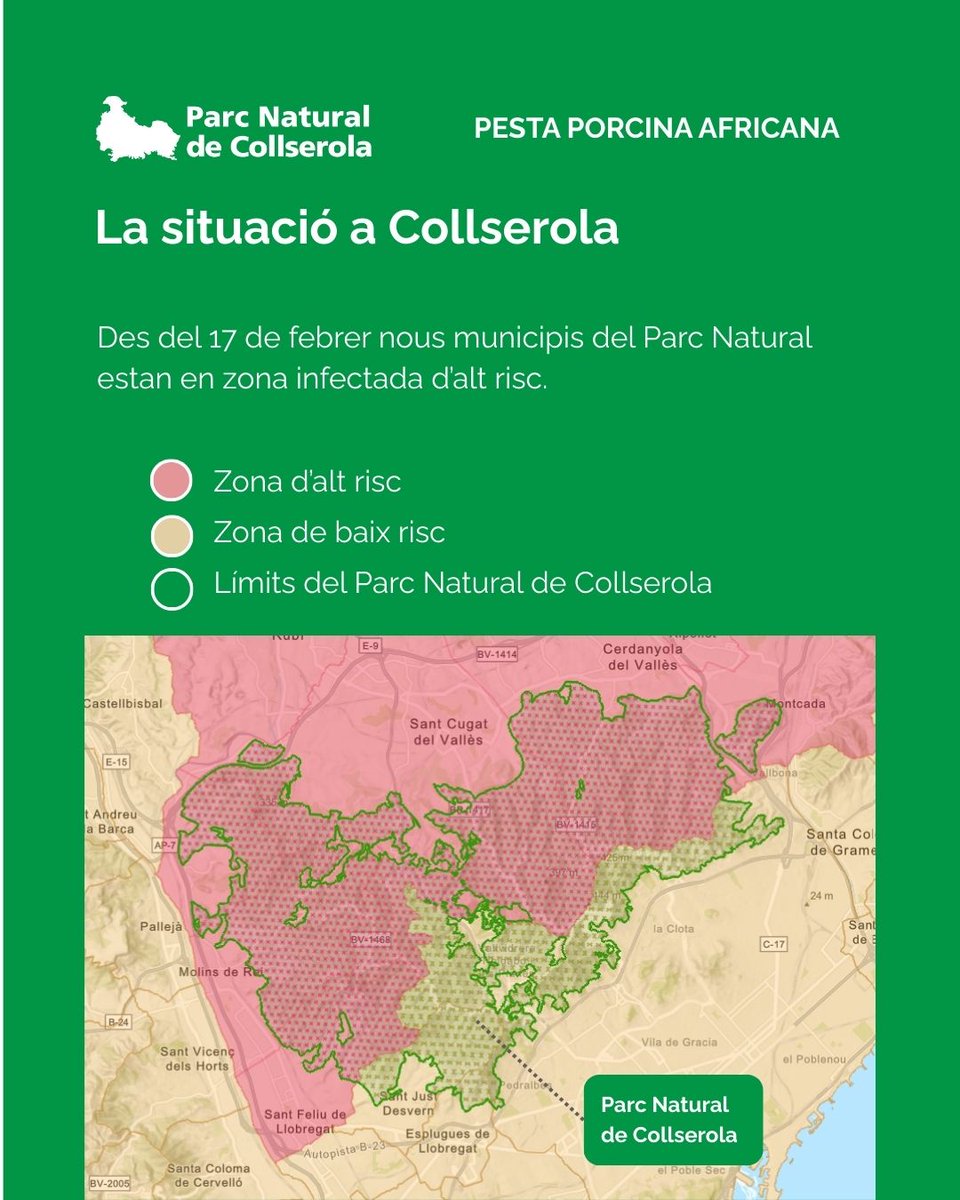 🔴 Restriccions d'accés al Parc Natural de Collserola per la pesta porcina africana (PPA)

👉 Des del 17 de febrer s'han incorporat a la zona d'alt risc St. Feliu de Llobregat i l'enclavament de Sta. Creu d'Olorda (Barcelona)

ℹ️ Web del Parc Natural i a gen.cat/ppa