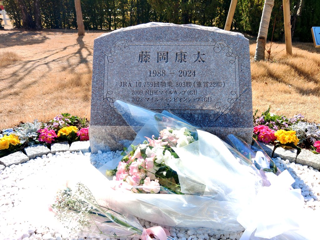 chihiro🐴 tweet media