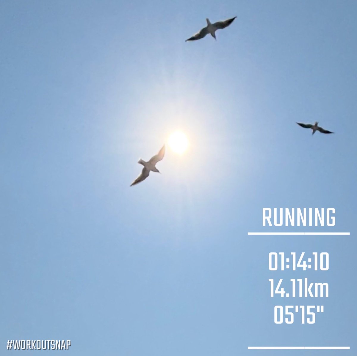 scooyan's tweet photo. 春っぽくなってきた。
ノー手袋、ノータイツで走れるのが嬉しい。
#ランニング #running https://t.co/4VdIKQ84O2