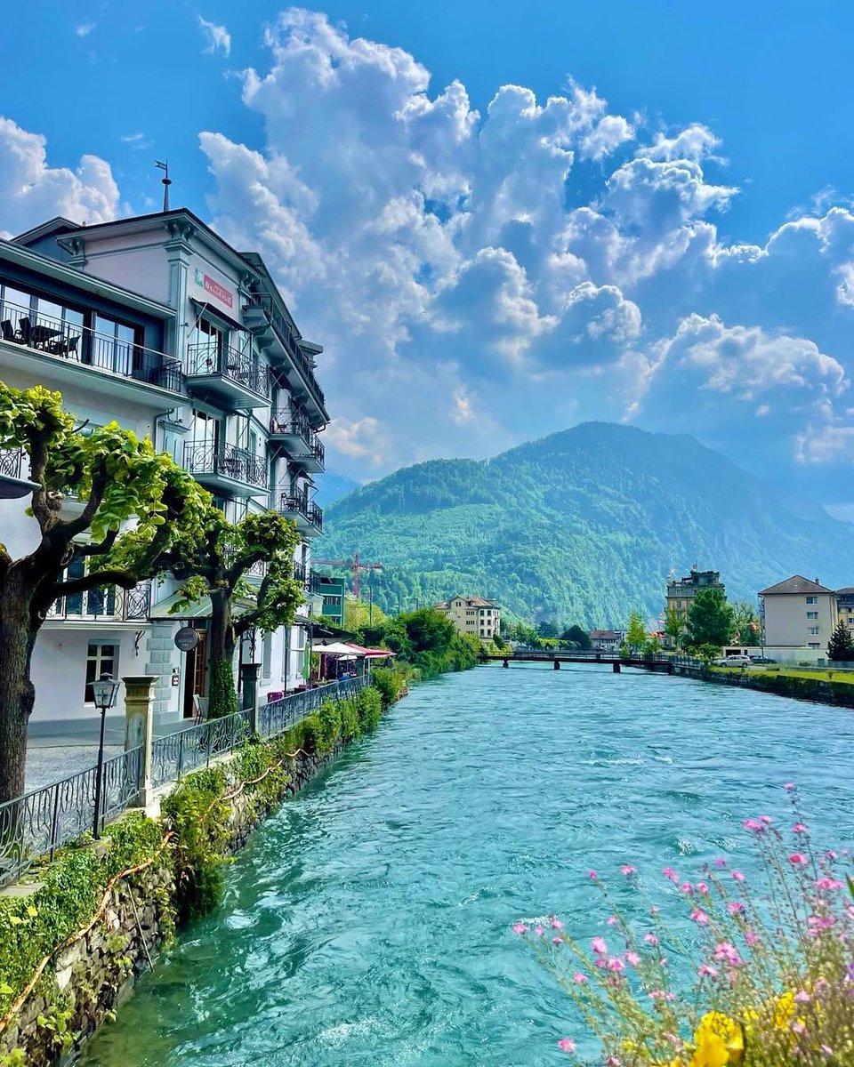 Travel Diaries tweet media