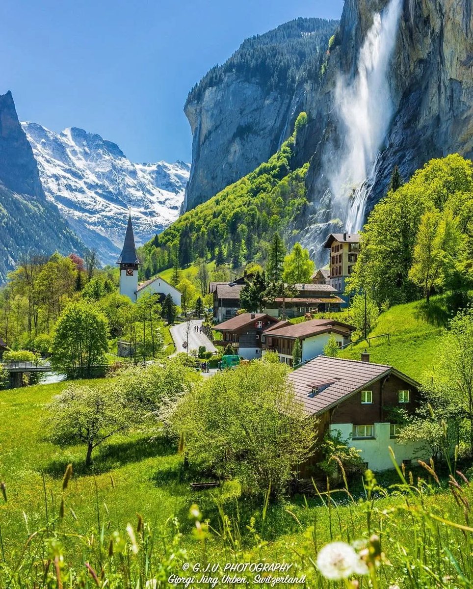 Travel Diaries tweet media