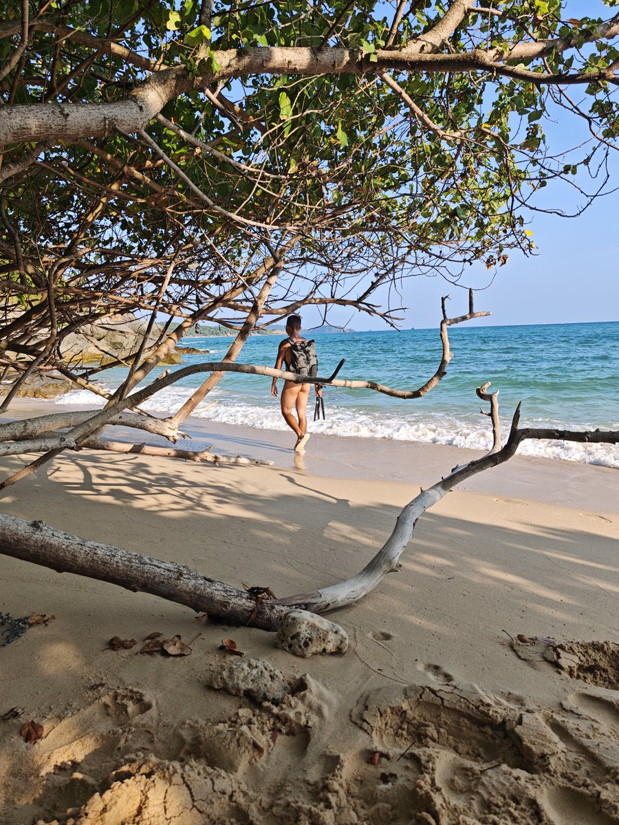 knazal北辰 tweet media