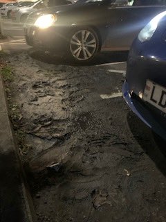 CallMeMo tweet media