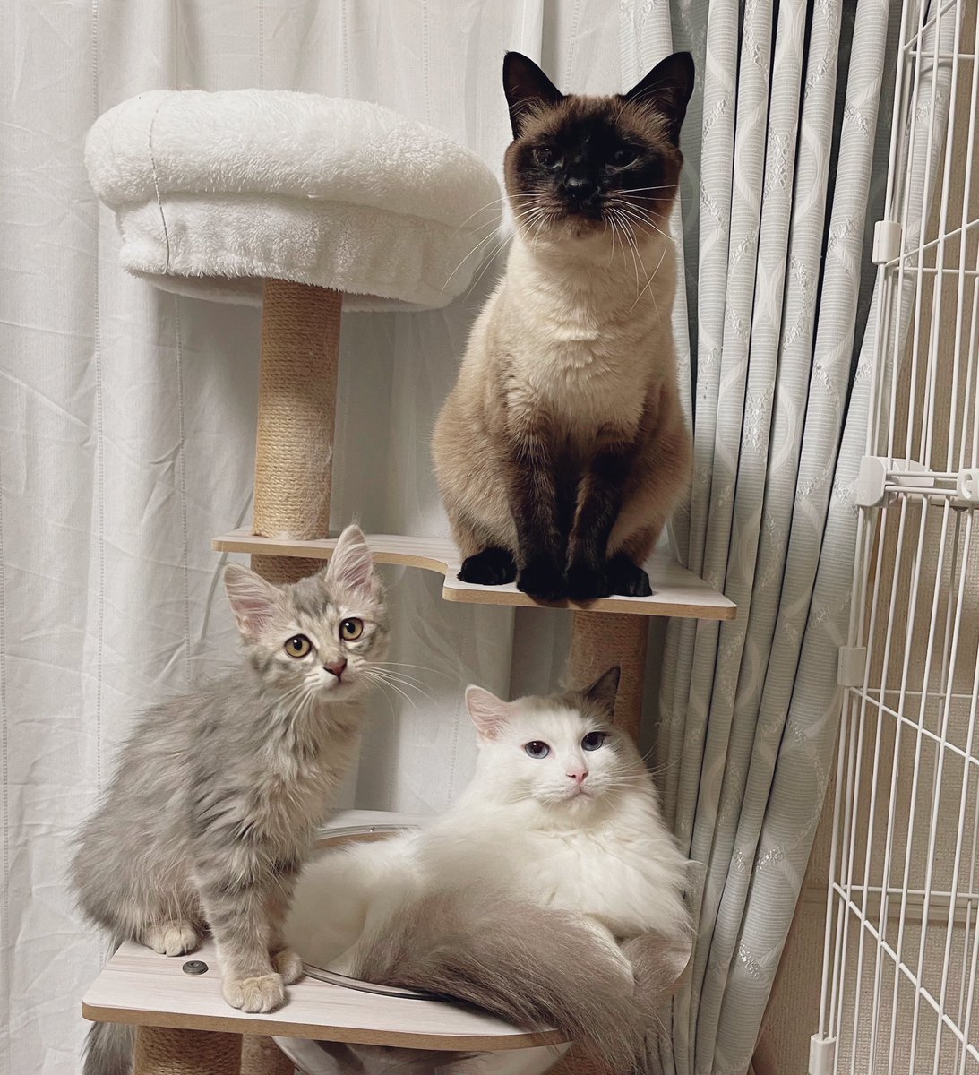 これはもう可愛いアート作品です 金賞です おめでとうございます あ