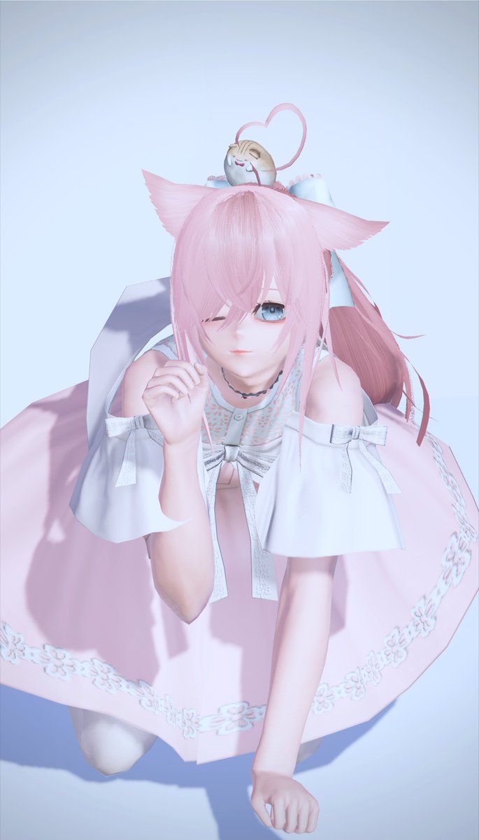 今日はにゃーの日だで🐱