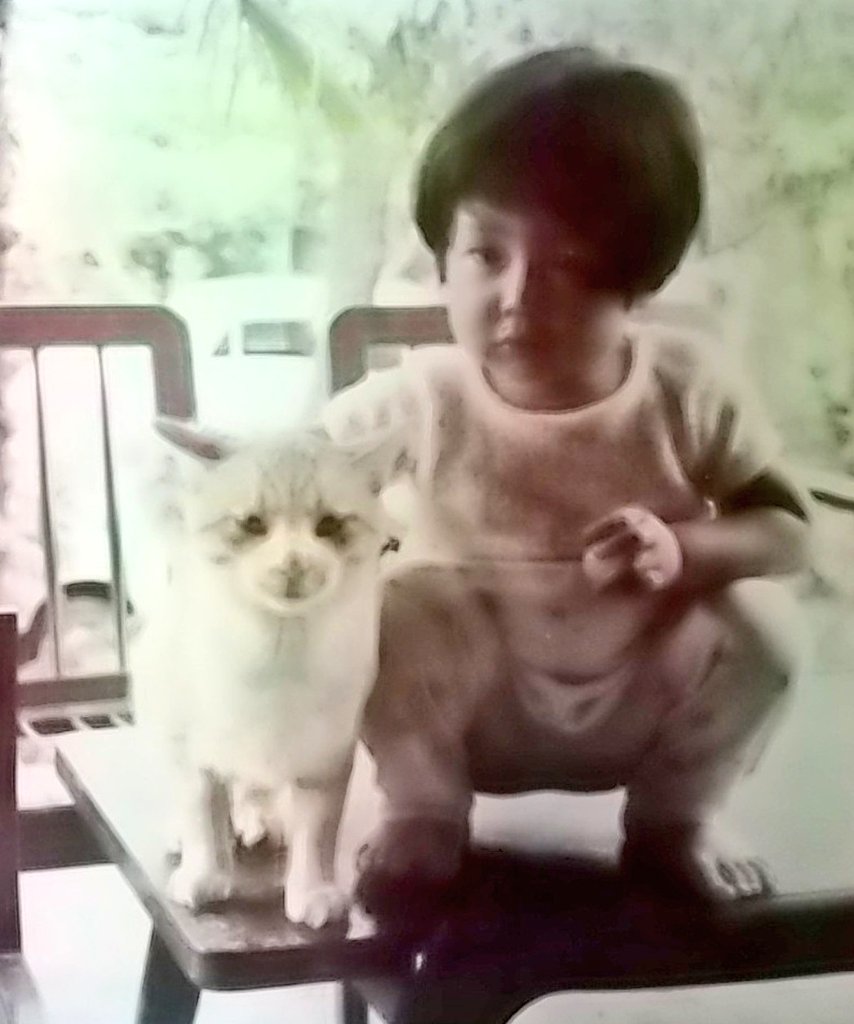 昭和40年代 の 猫と私✨