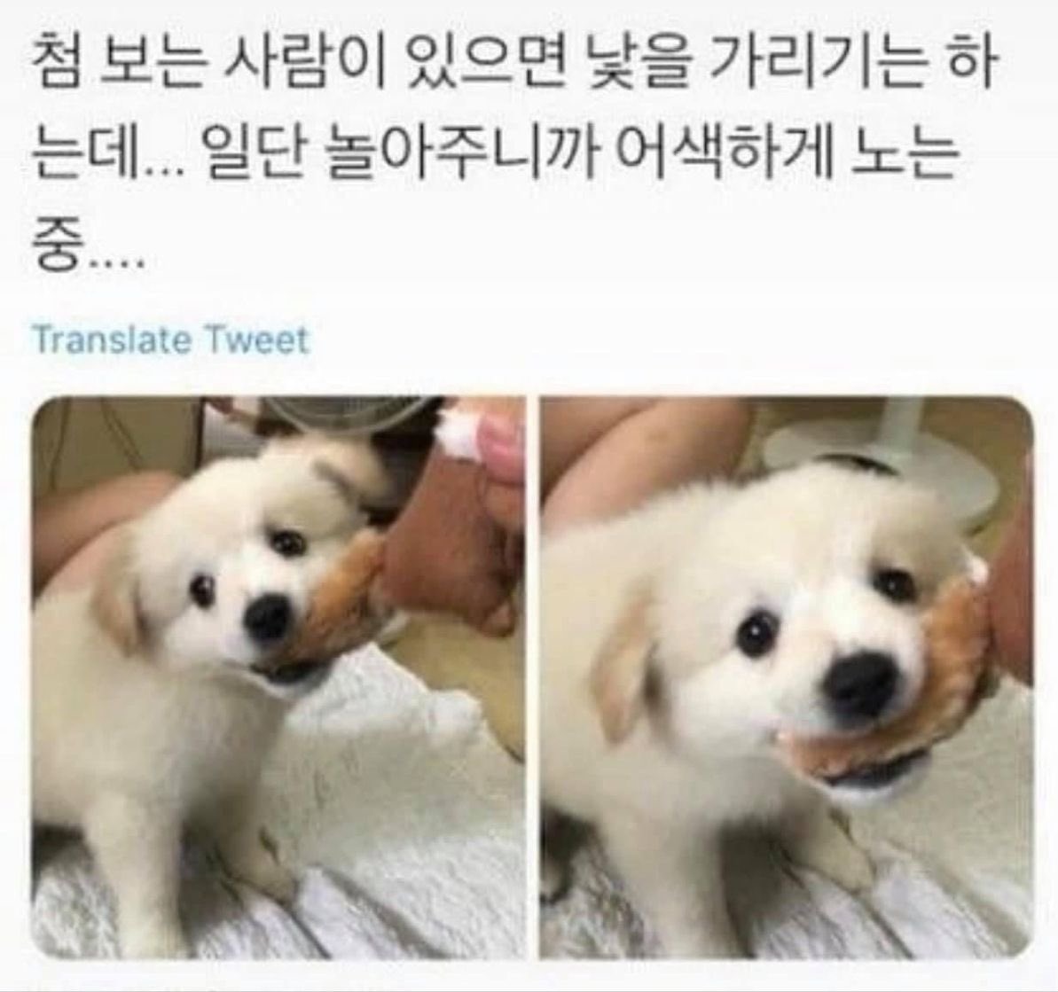 나 진짜 그만 웃고 싶은데 ㅋㅋㅋㅋ