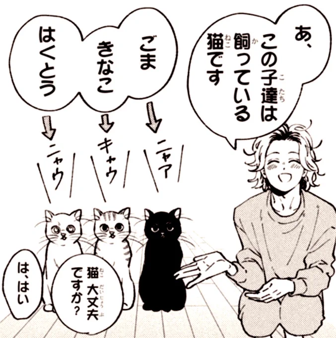 #猫の日
#にゃんにゃんにゃんの日
#ごまきなこはくとう
#むせるくらいの愛をあげる
#2026 