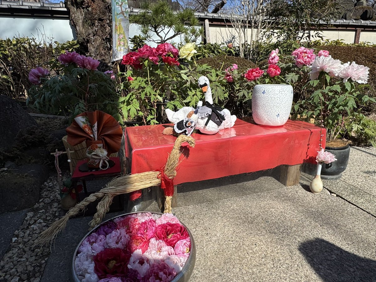 ジョリン tweet media