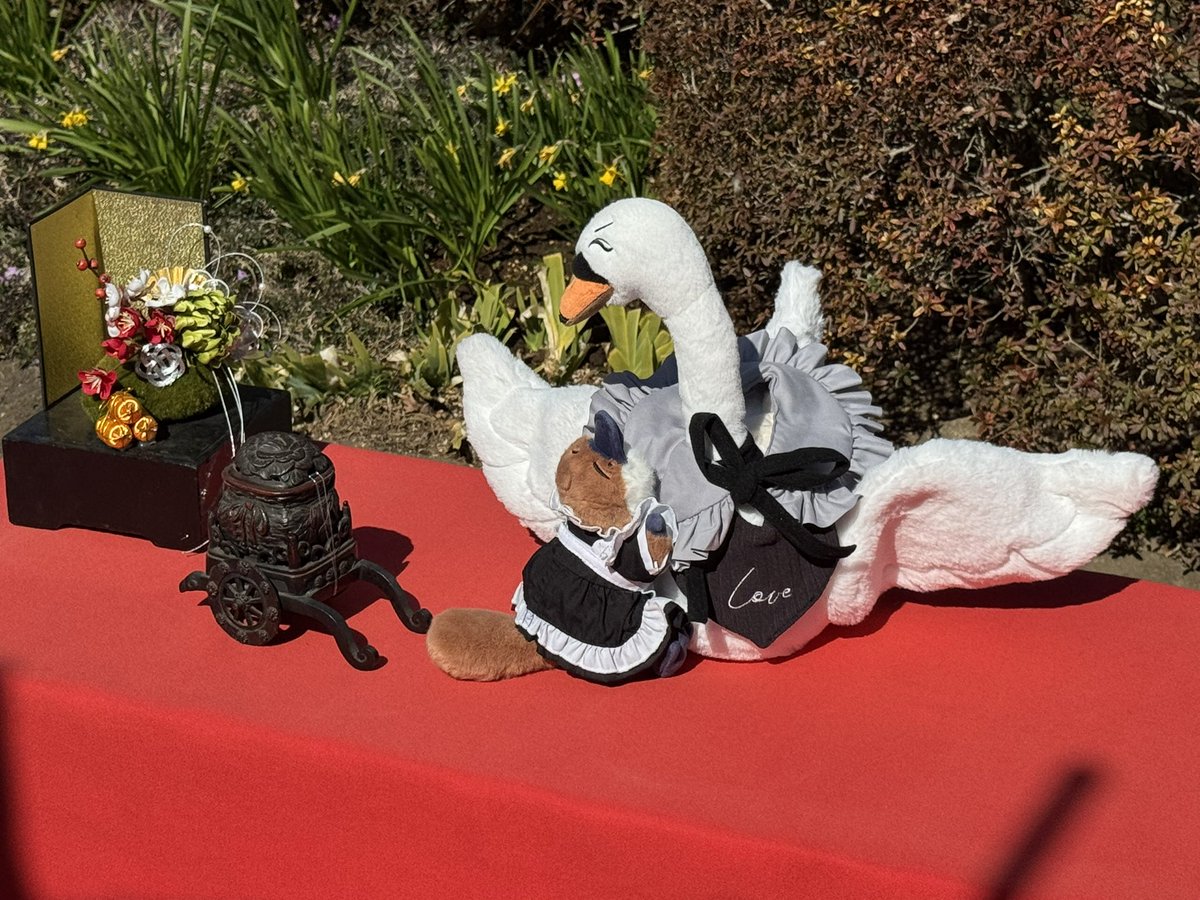 ジョリン tweet media