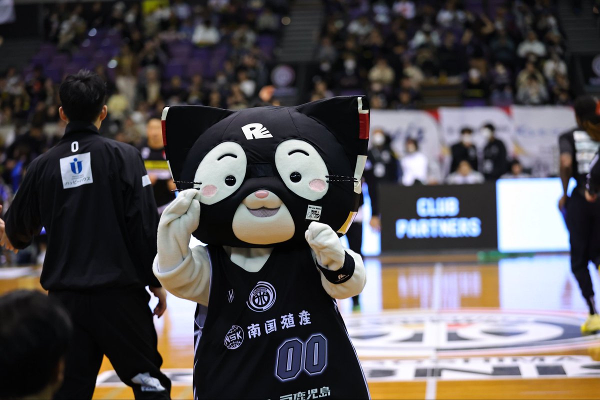 れぶにゃん(鹿児島レブナイズ)【公式】 tweet media
