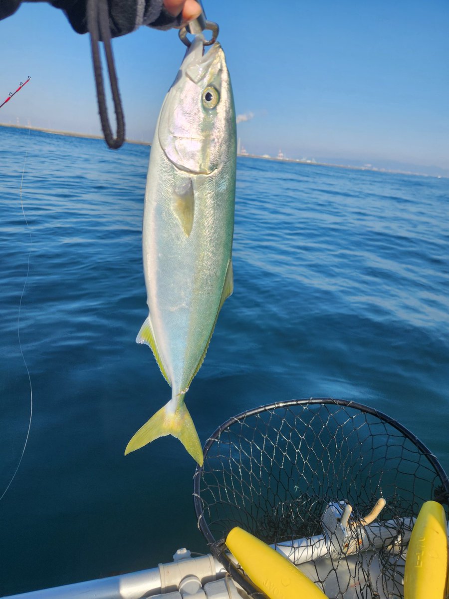 先週のリベンジへ‼️
イナダは2人で5本釣れたがサイズ伸びない…
何故かジグでは反応なくタイラバのスロー巻きで喰ってくる😅
真鯛は何処だ…