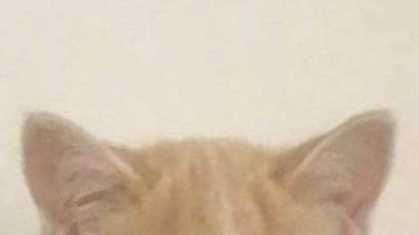 ちぃ⁰⁰ᴛᴀᴘ🌹Always With Taeyong🌹 tweet media