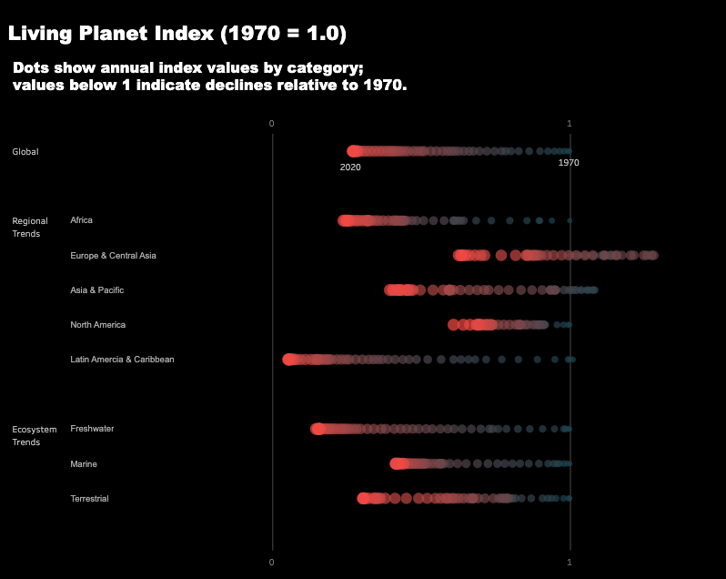 hue (hiroki uetake) tweet media