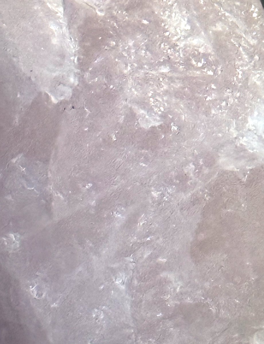 Jelly Hoshiumi 🌠🎀 / Phase Connect tweet media