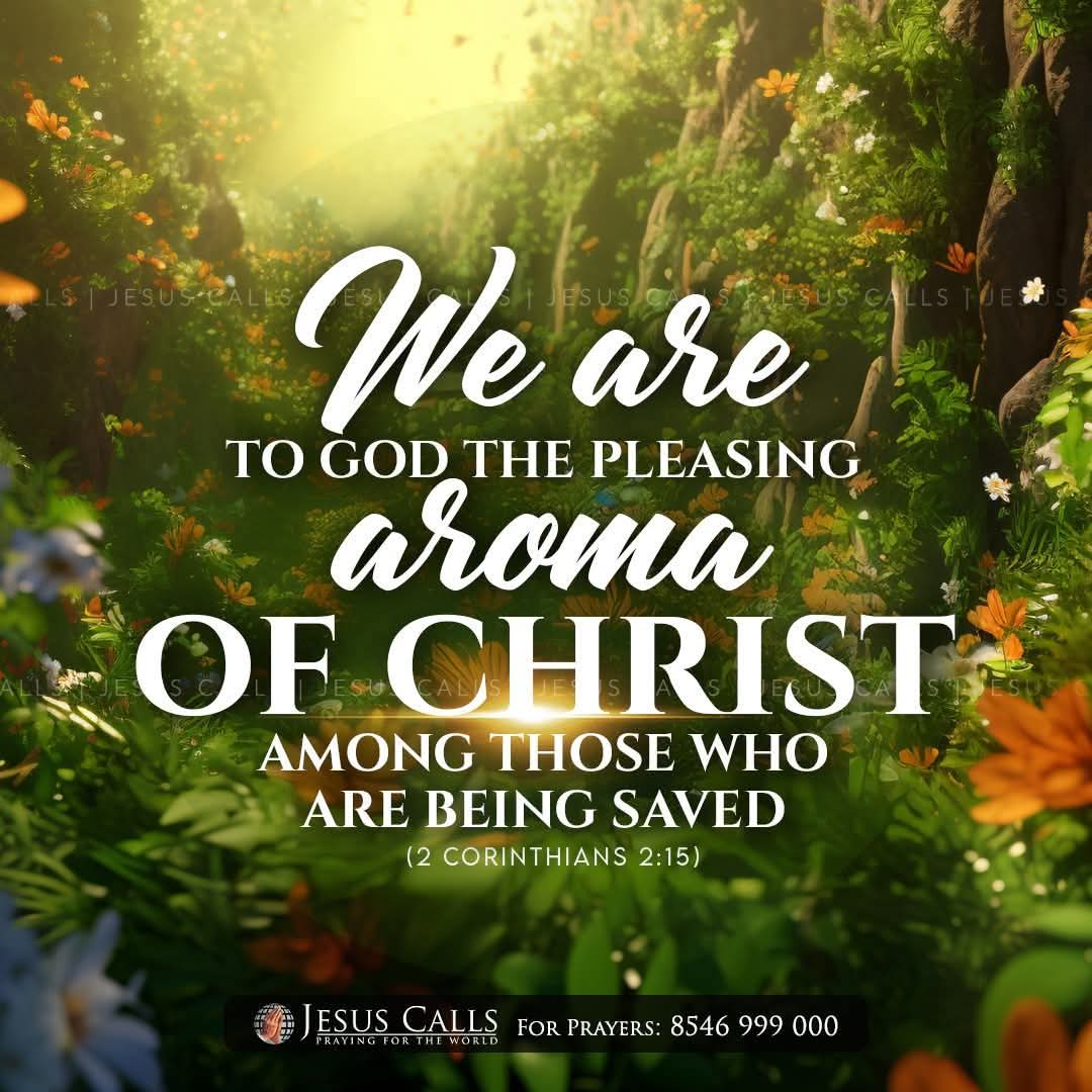 Charles Charles (@cc4804098) on Twitter photo 