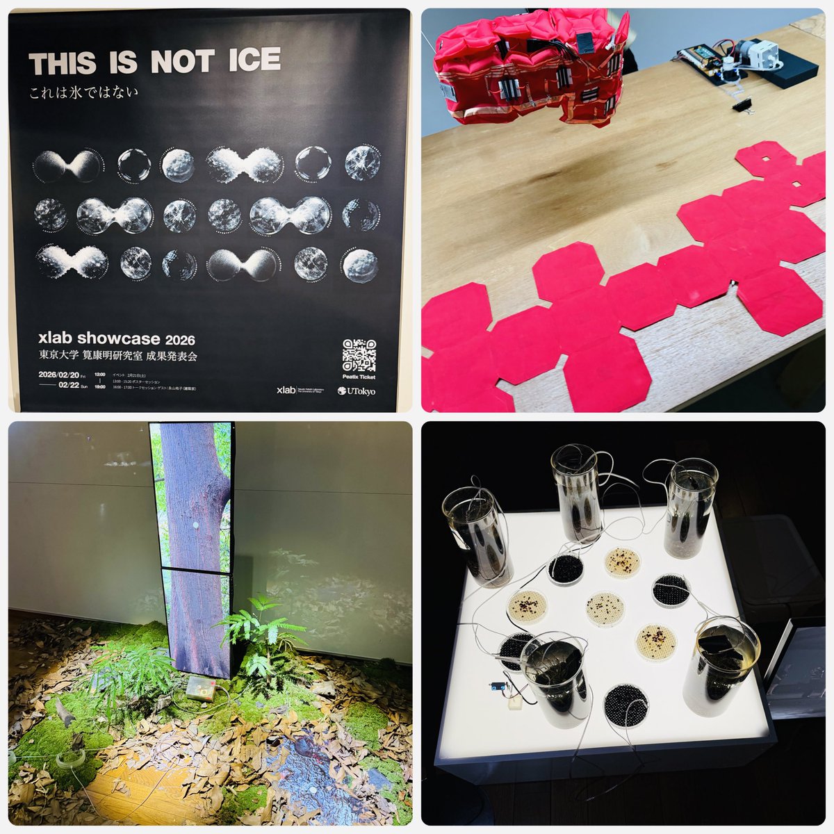 十河 翔🥇そごう しょう🏅SOGO SHO tweet media