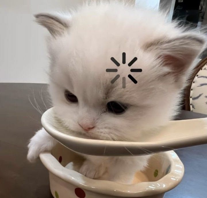 wonbin loops (@wnbsloop) on Twitter photo 