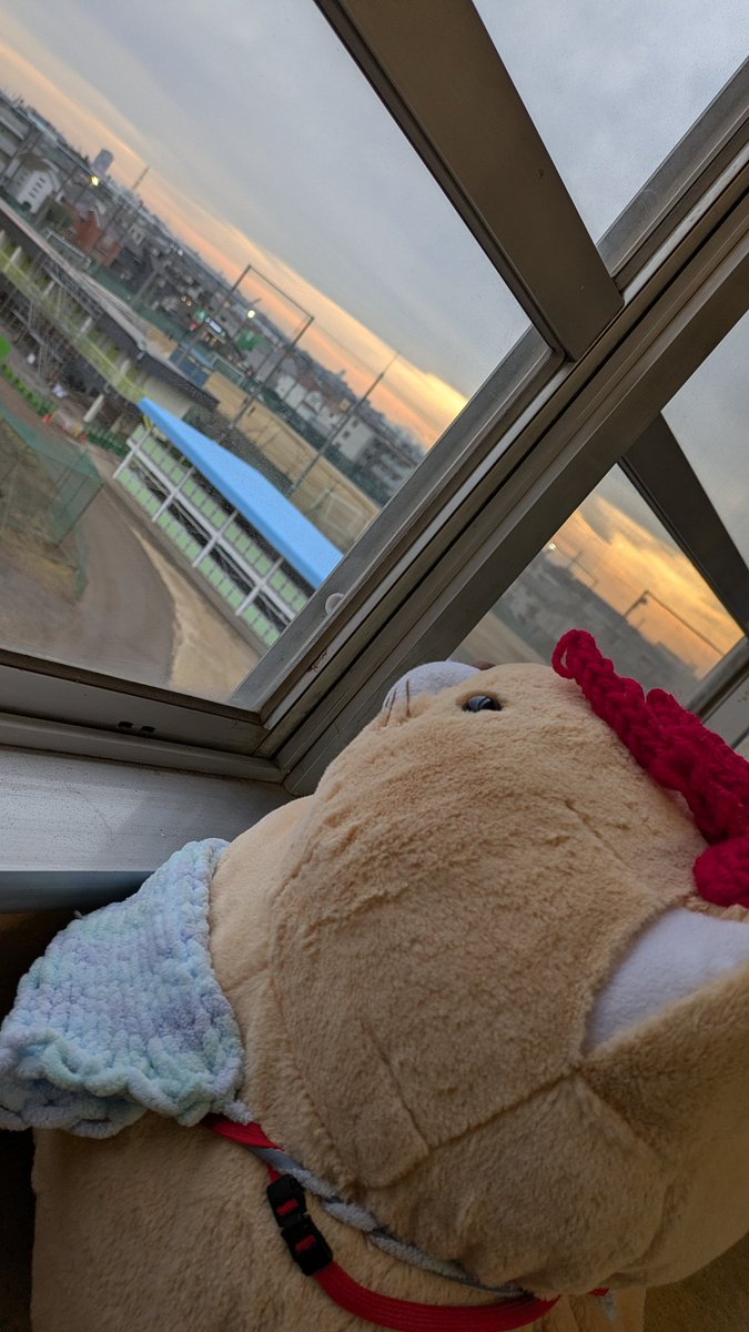 kosinanengeki's tweet photo. 【数百年ぶりの越南演劇部的ハイライト】
おはようございます！お久しぶりです！すいません！！

9日に地区の研修会に参加してきました！脚本研修とキャスト&amp;照明にチーム分けしました！私は脚本の方だったのですがいろいろな話を聞けてとても楽しかったです！

🐱「…」　
…悟り開いてるなこりゃ https://t.co/nopSSMKDvw