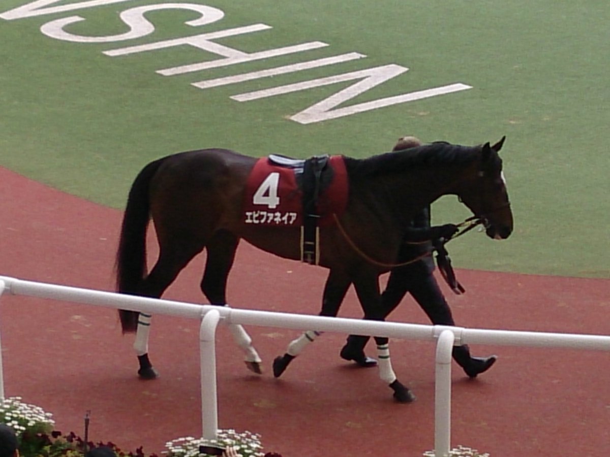 たまちゃん🐯 (@tamaP_325) on X