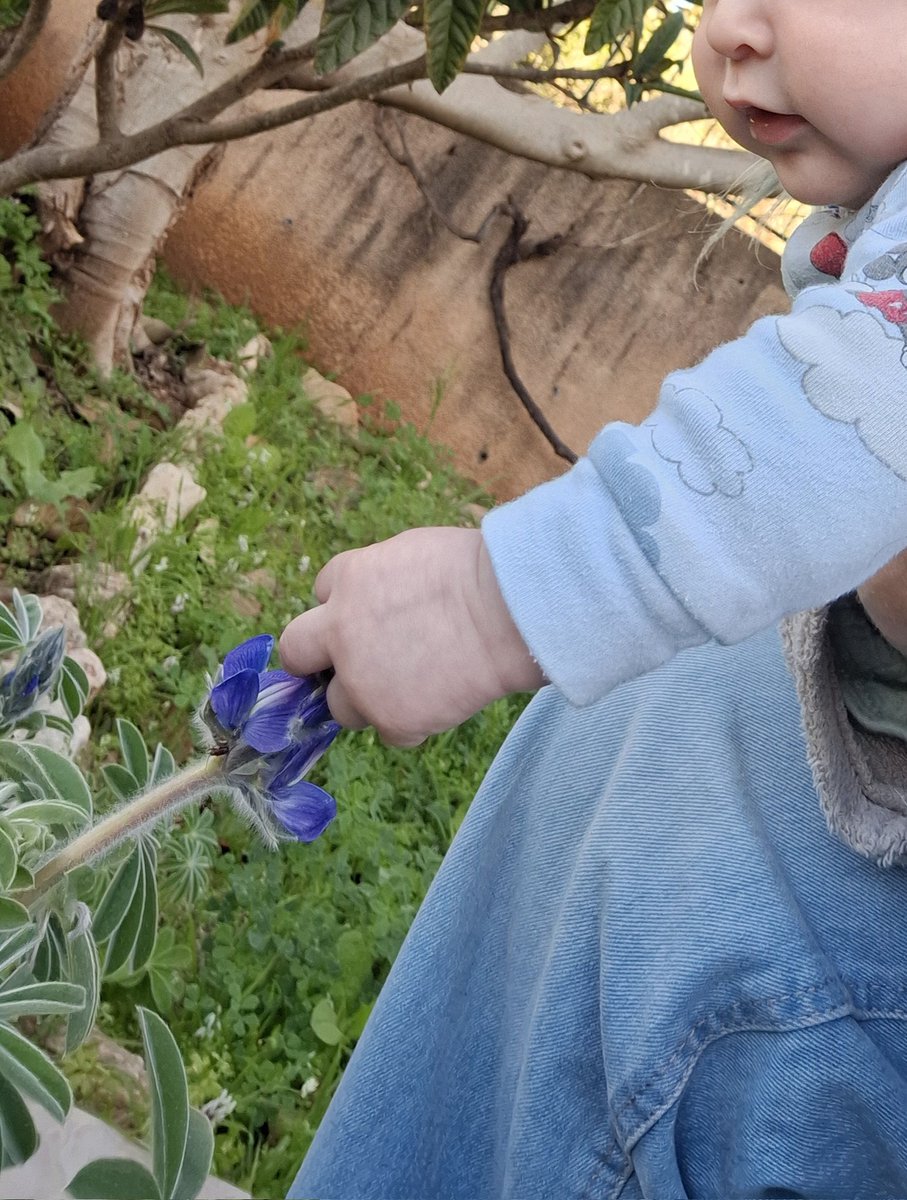 Jane Bordo tweet media