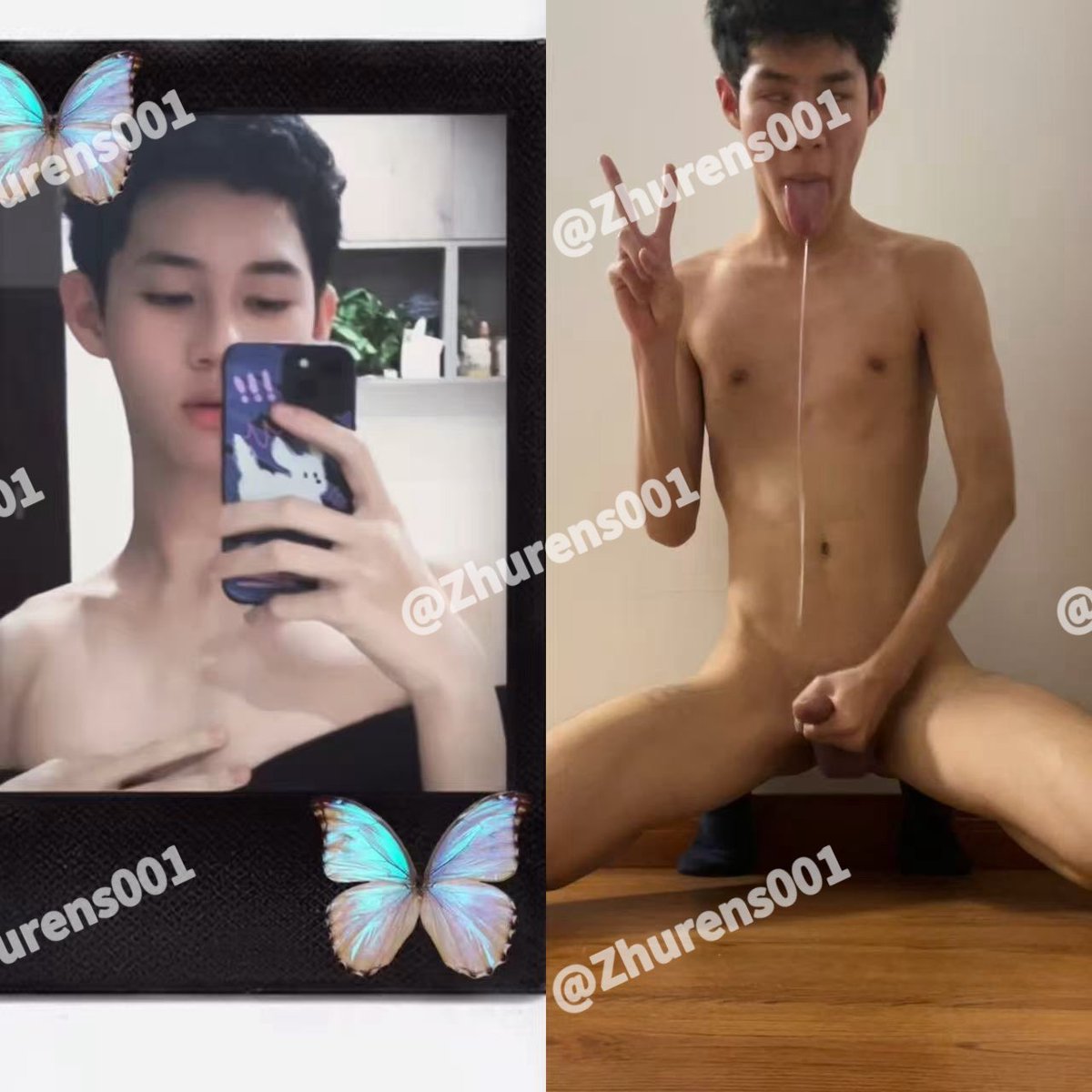 主人（互推 tweet media