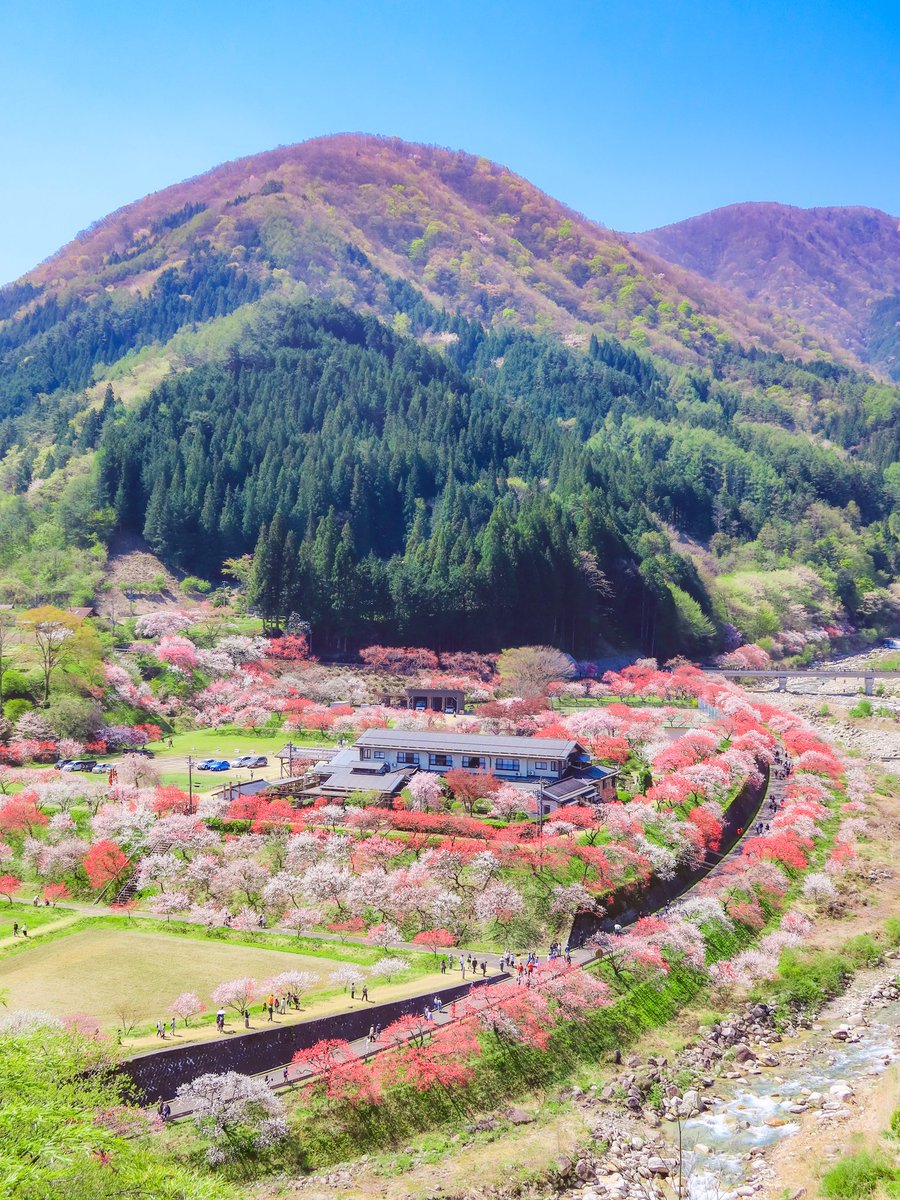 春になったら見に来ませんか❓

長野県阿智村【花桃の里】